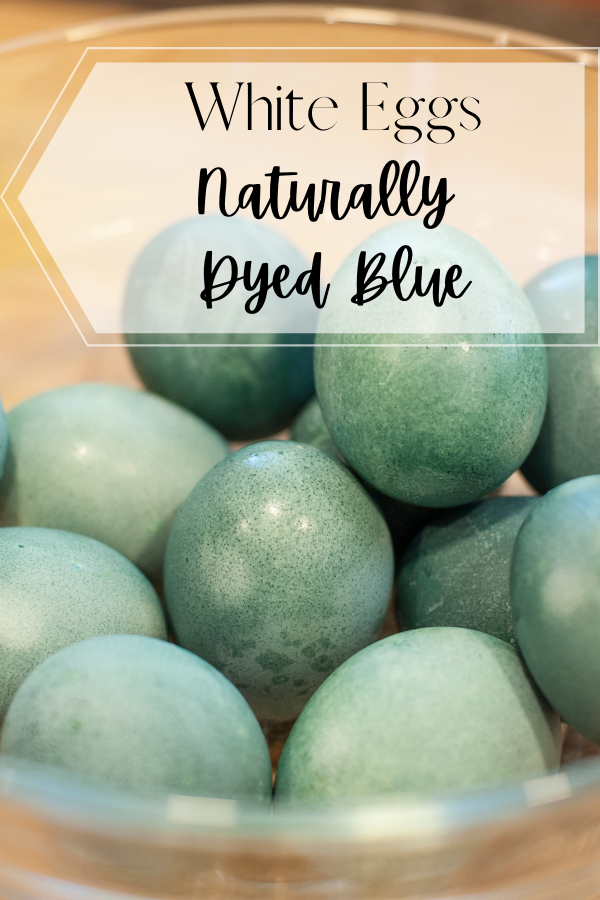 naturally dyed easter eggs in blue eand text