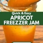 A spoonful of easy, low-sugar apricot freezer jam being lifted from a clear jar, highlighting its perfectly thickened texture made without pectin using Ultra Gel. Vibrant orange apricot halves with pits removed are visible on the side, emphasizing the fresh, simple ingredients.
