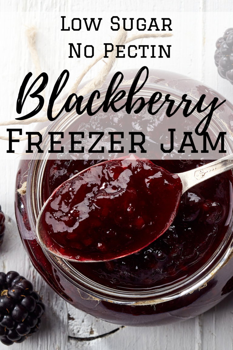 The Best Blackberry Freezer Jam - No Pectin & Low Sugar Recipe