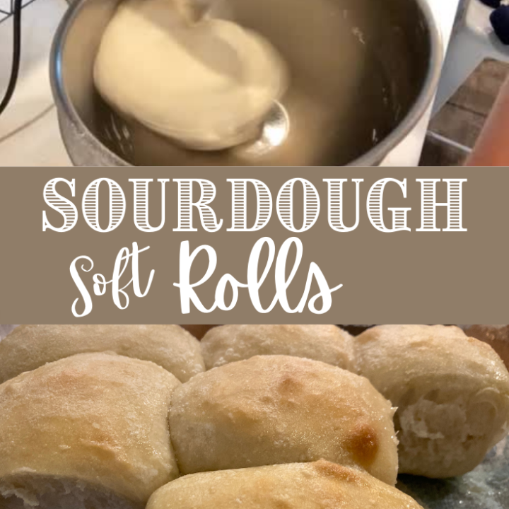 Soft Sourdough Rolls