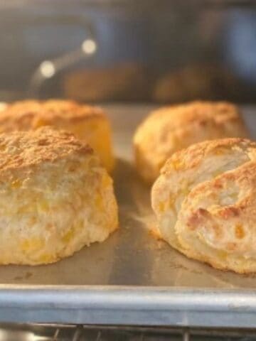 sourdough cheddar biscuits