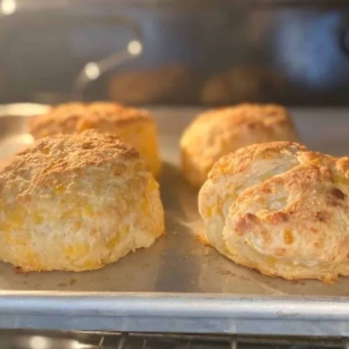 sourdough cheddar biscuits