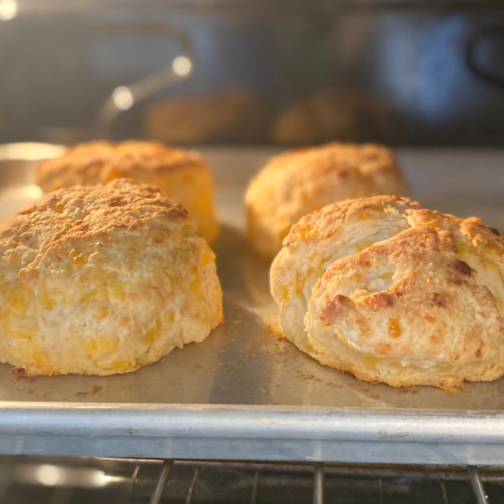 Sourdough Cheddar Biscuits - No Wait Recipe