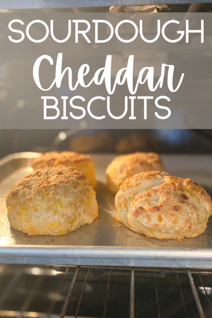 cheddar biscuits in oven and text