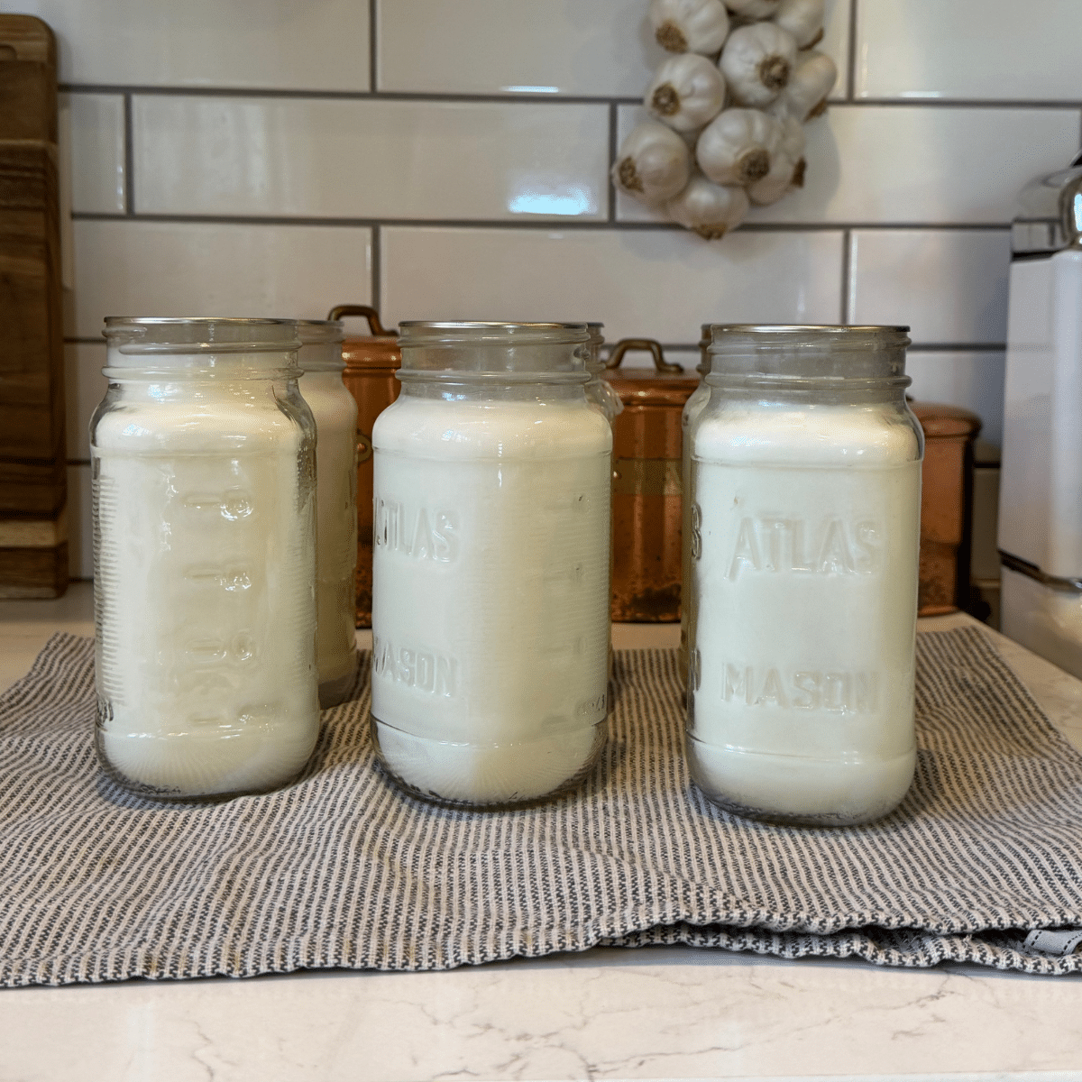 sealed jars full of rendered and purified tallow