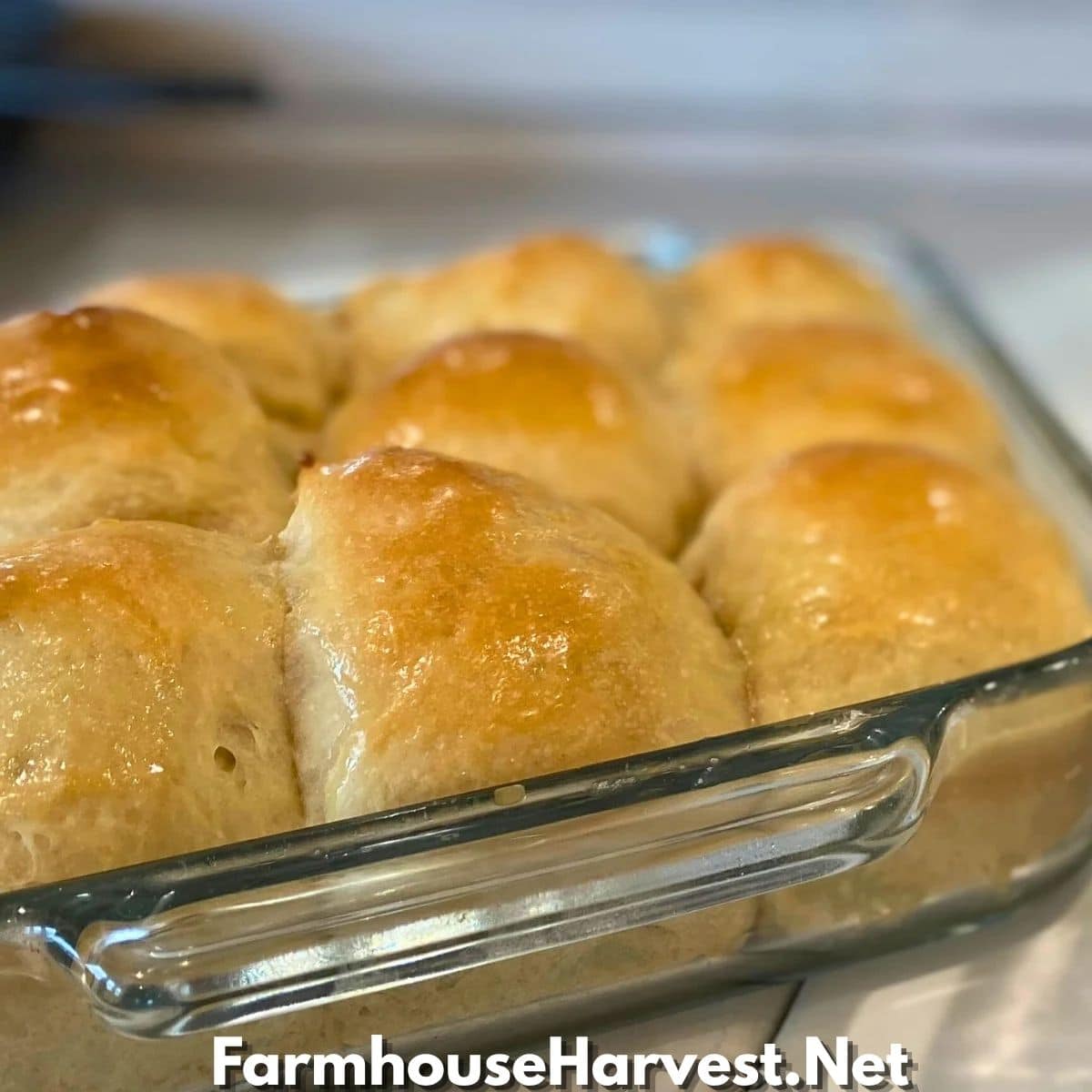soft sourdough rolls with golden buttery tops in glass baking dish