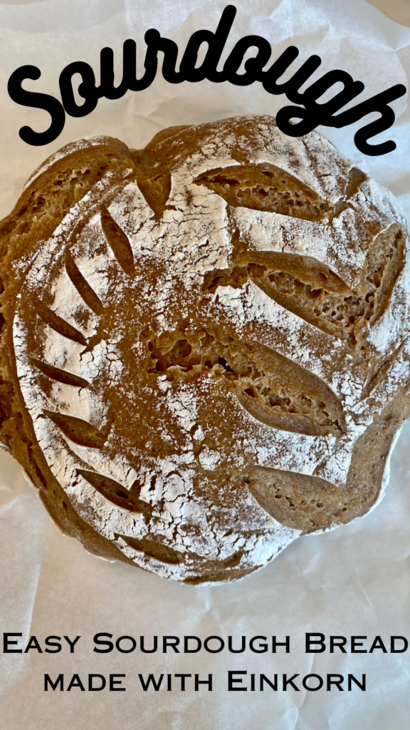 sourdough bread recipe for beginners  made with einkorn flour