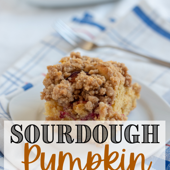 Sourdough Pumpkin Streusel Coffeecake