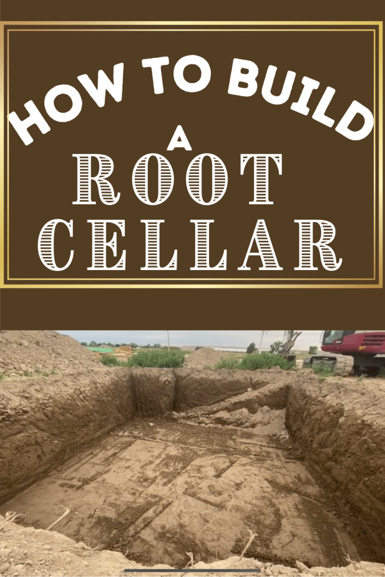How To Build A Root Cellar Under Garden House Updated!