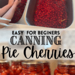 canning cherries
