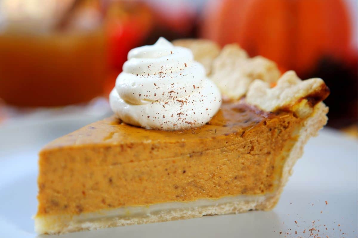 pumpkin pie slice with whipped cream and cinnamon on top