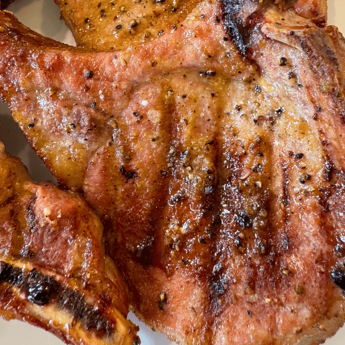 grilled pork chops