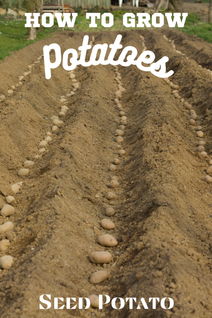 Potato Fields with furrows and text