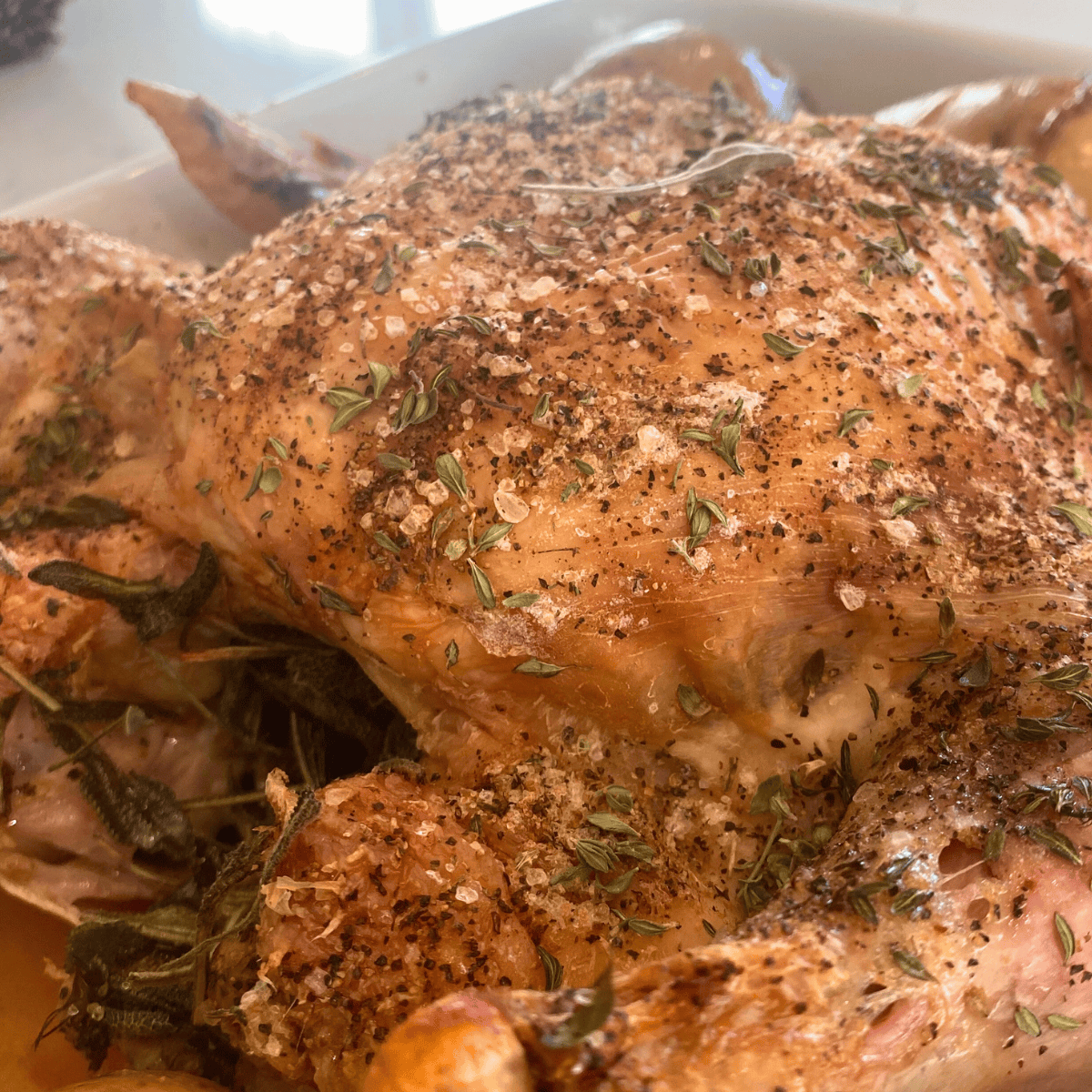 herb roasted chicken