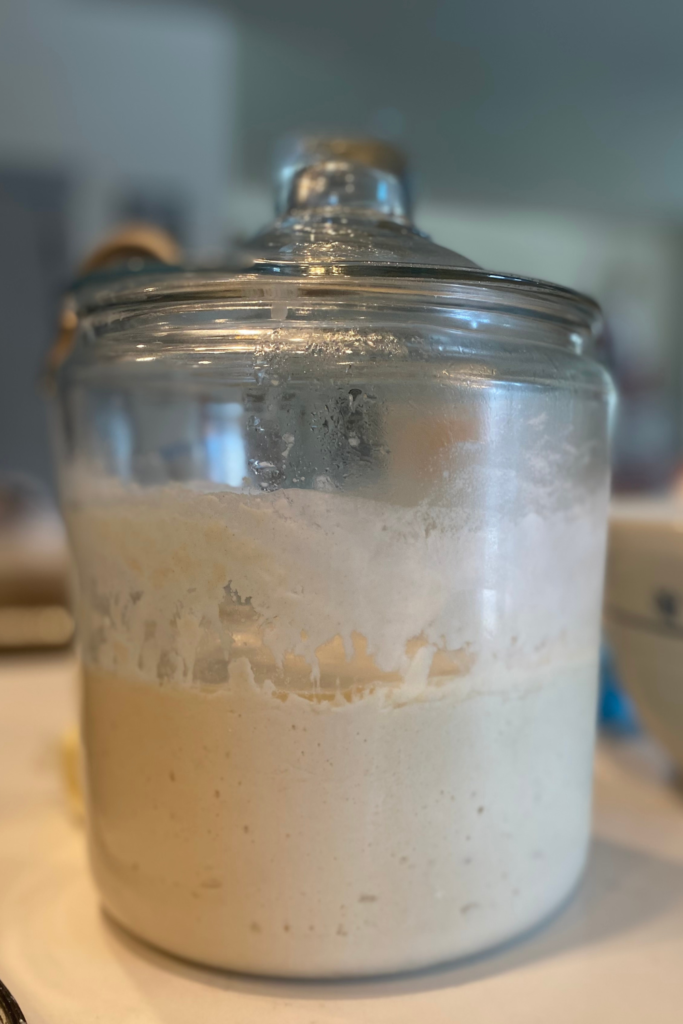 sourdough starter in jar with lid