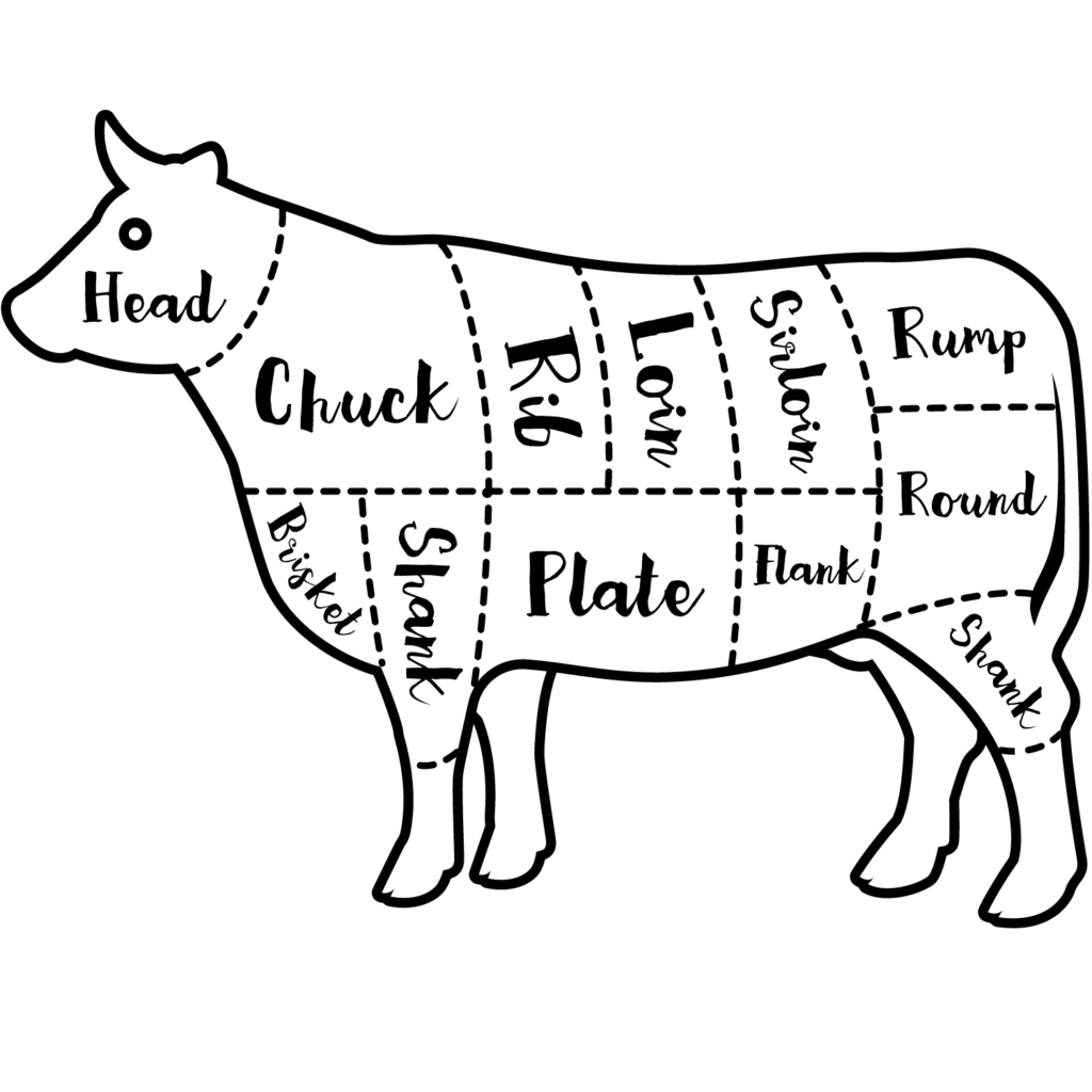 cow graphic with cuts of meat graphed out on cow showing where each cut of beef comes from on the cow.