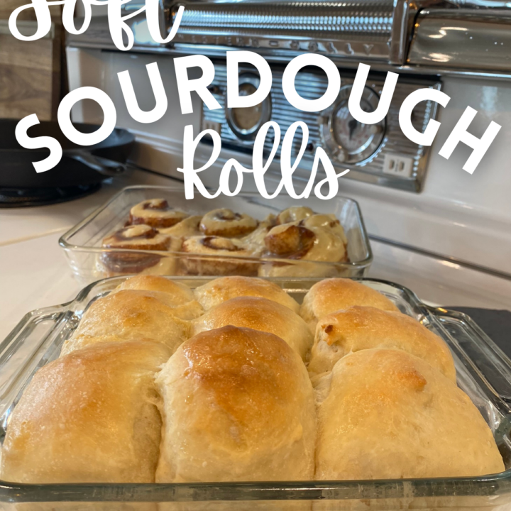 Soft Sourdough Rolls