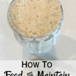 sourdough starter with text by Traditionandthyme.com copywrite 2024