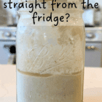 sourdough starter straight out of the fridge with text