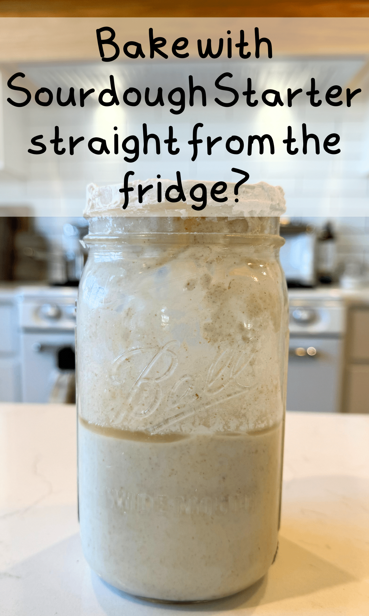 sourdough starter straight from the fridge with text