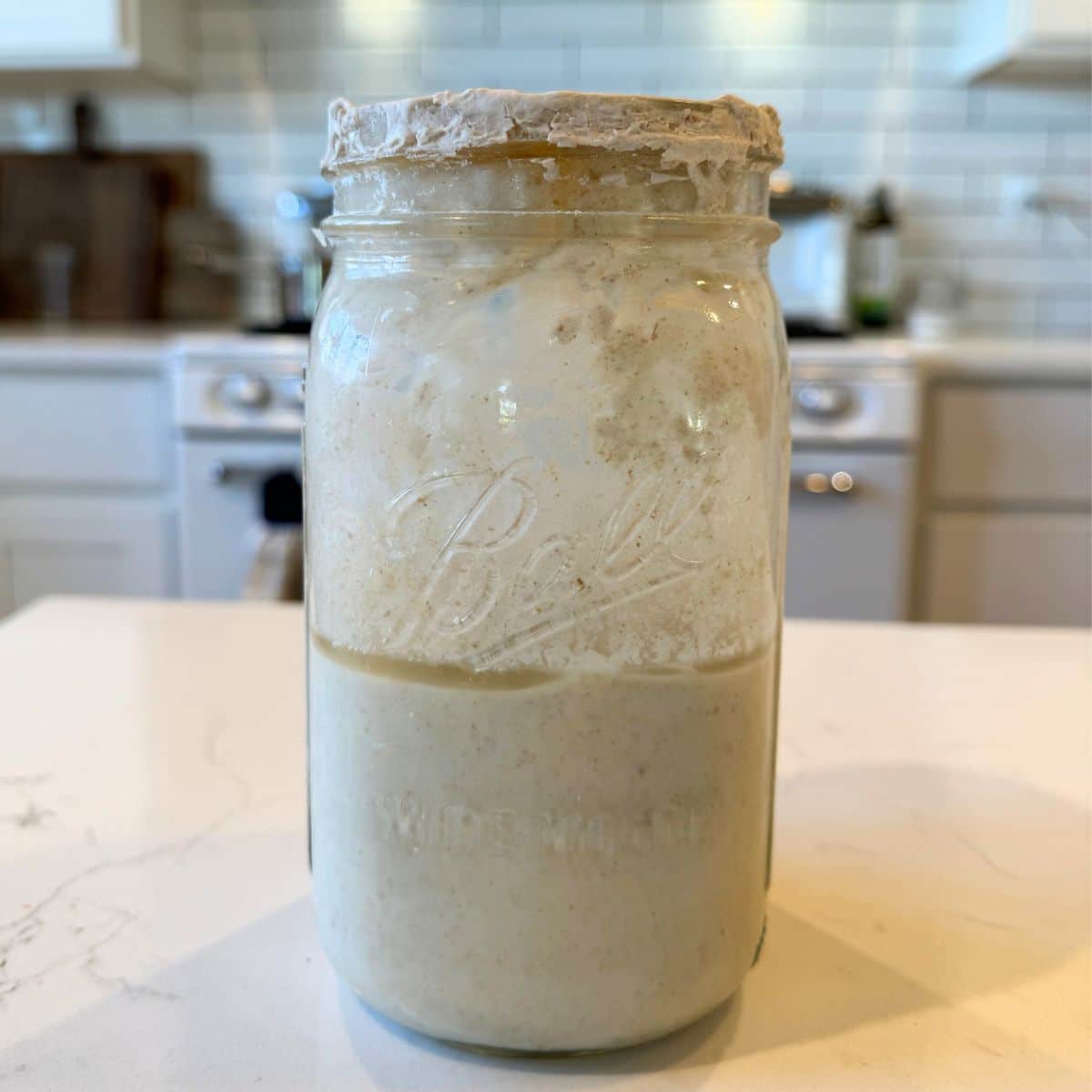 sourdough starter straight from the fridge