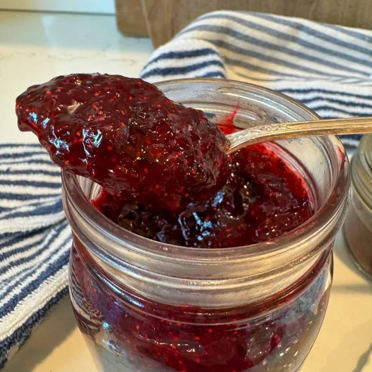 huckleberry freezer jam on spoon on jar of jam.