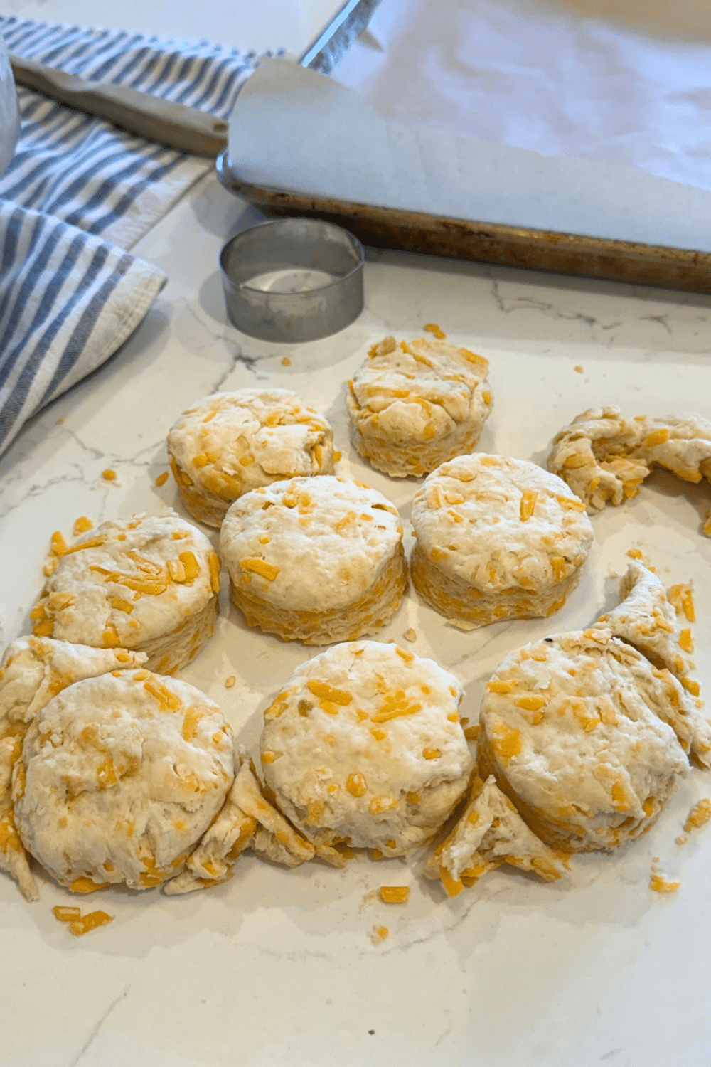 round cut biscuits just cut out of dough