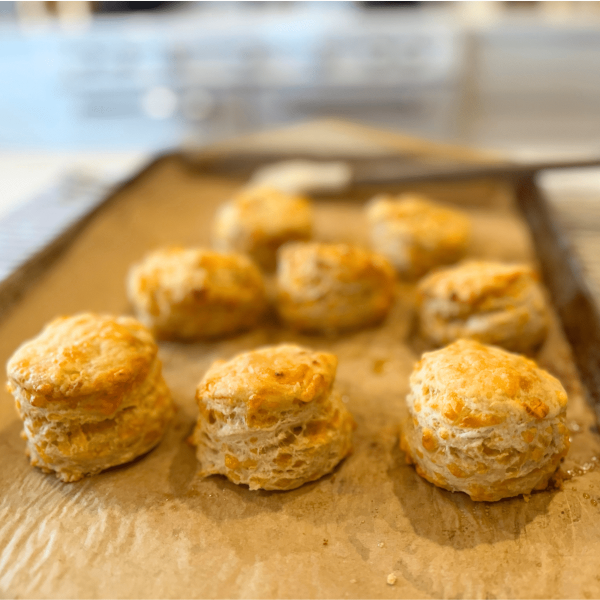 sourodugh cheddar biscuits on parchment lined baking sheet