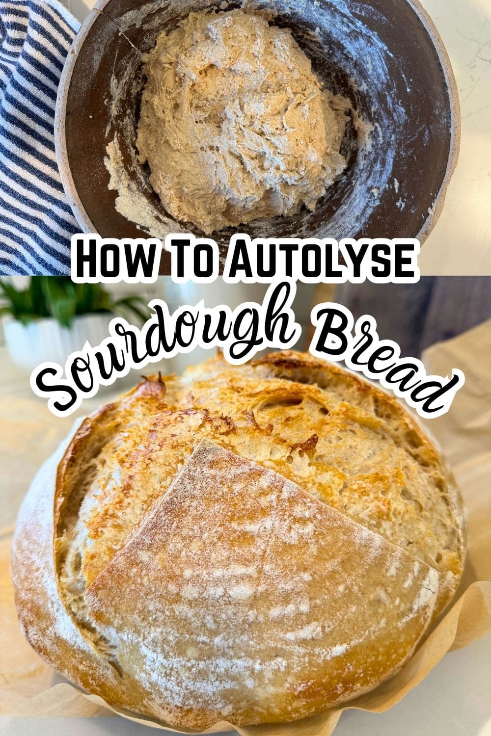 aytolysing dough and a sourodugh loaf with text