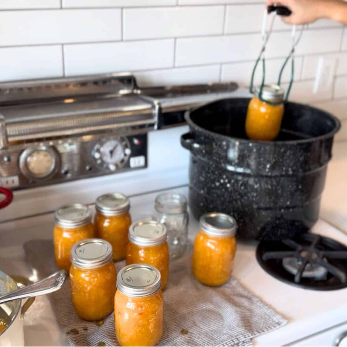 place lids on top of jars, screw on bands to finger tight. Place filled jars into the hot waterbath canner. Adjust water lever to at least 1 inch over lids and turn bring to boil. Process for 10 minutes + 1 minutes for every 1000 feet you are above sea level.