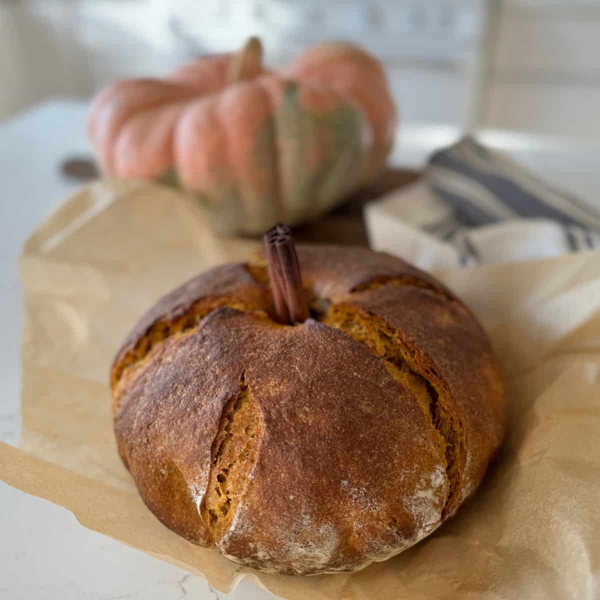 baked sourdough pumpkin spice loaf on parchment paper with pumpkin in background