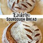 Einkorn sourdough bread recipe with text