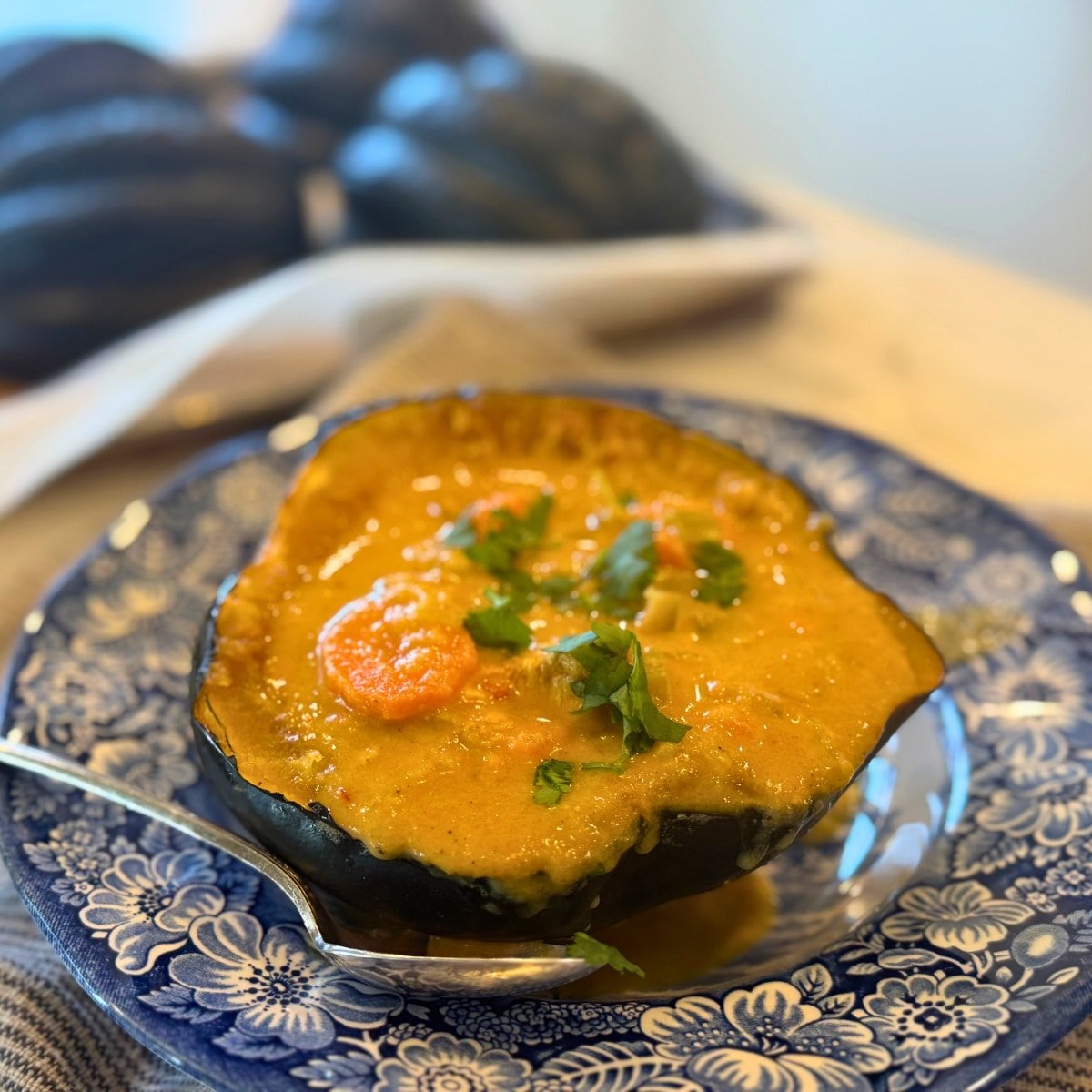 Acorn Autumn curry