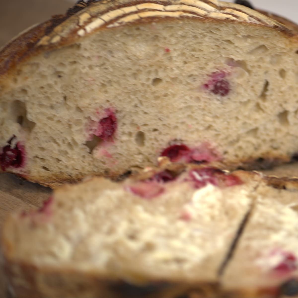 Sourdough Cranberry Bread sliced open to show crumb