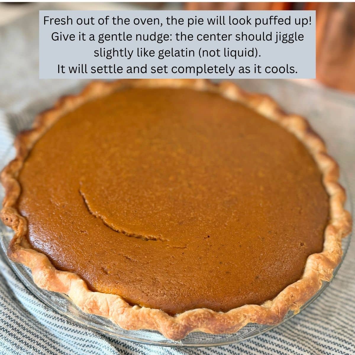 fresh pumpkin pie out of the oven all puffed up after jiggle test