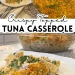 A baking dish filled with creamy tuna noodle casserole, showing a golden-brown panko breadcrumb and melted cheese topping with green peas peeking through. with text