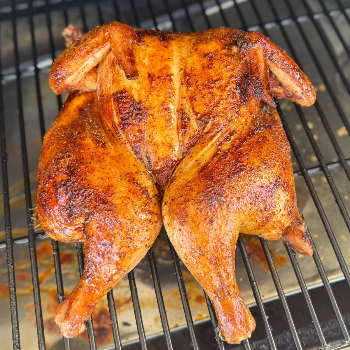 placing spatchcocked chicken on the grill breast side up