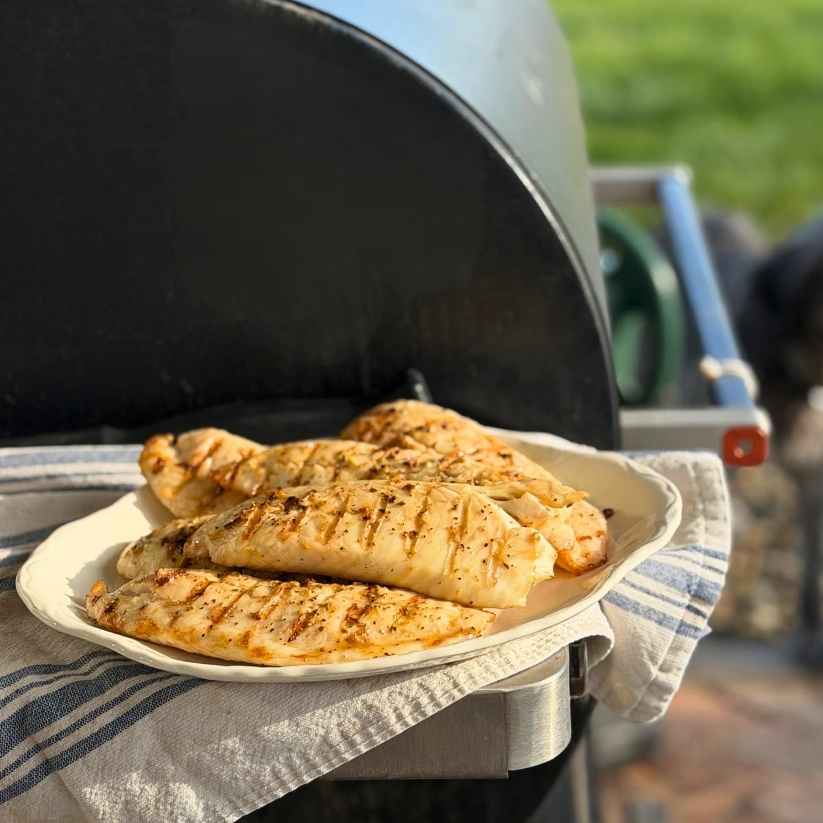 broader view of honey lime grilled tilapia finished onplatter on BBQ
