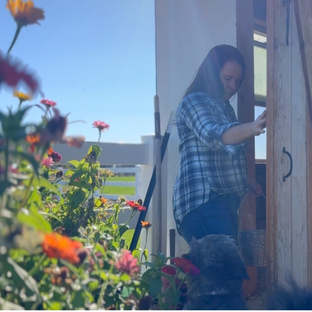 going into the chicken coop