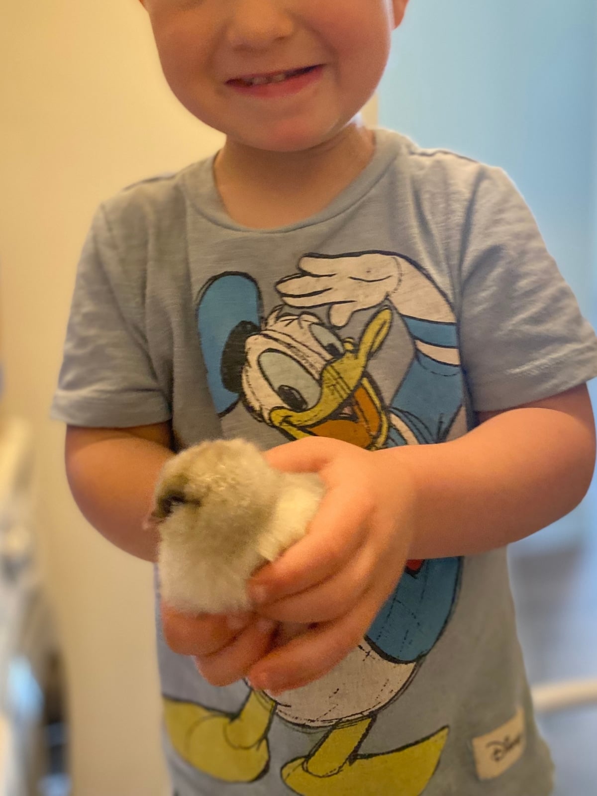 child carefully holding a baby chick in little hands