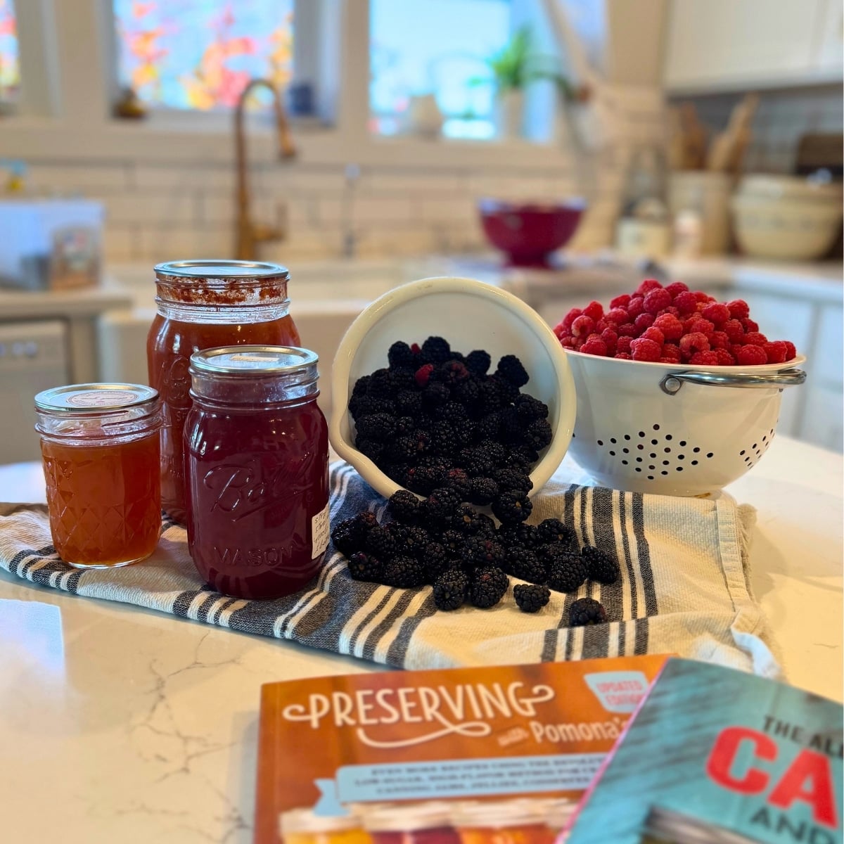 Canning for beginners jars of jams on counter next to bowls of berries and canning cook books