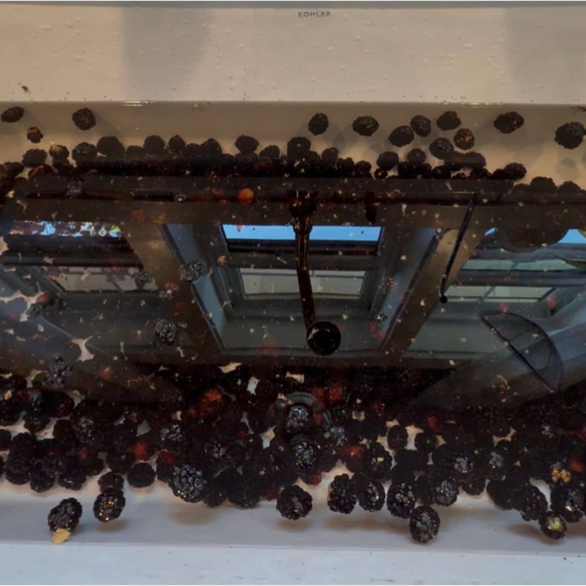 blackberries in water in the kitchen sink