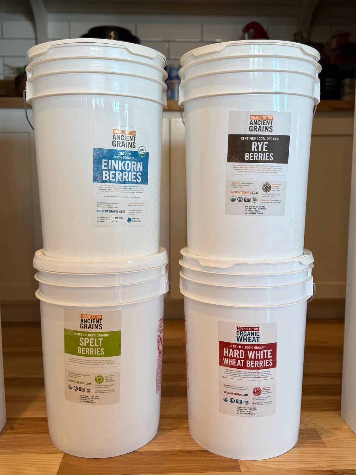 super pails of whole grains: einkorn berries, rye berries, spelt berries, hard white wheat berries