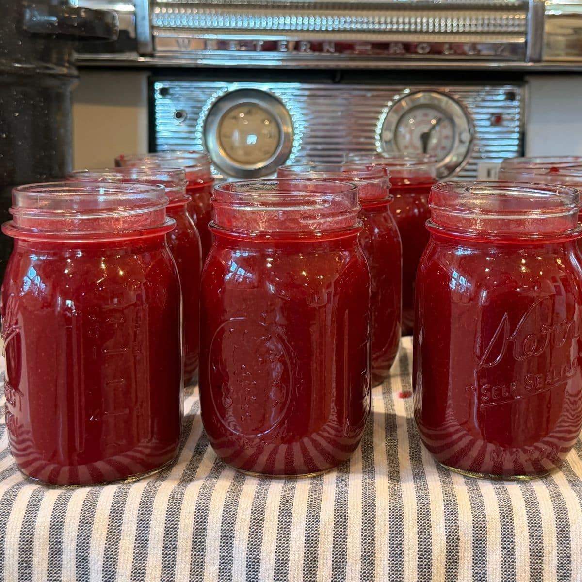 plum sauce canning recipe in pint jars