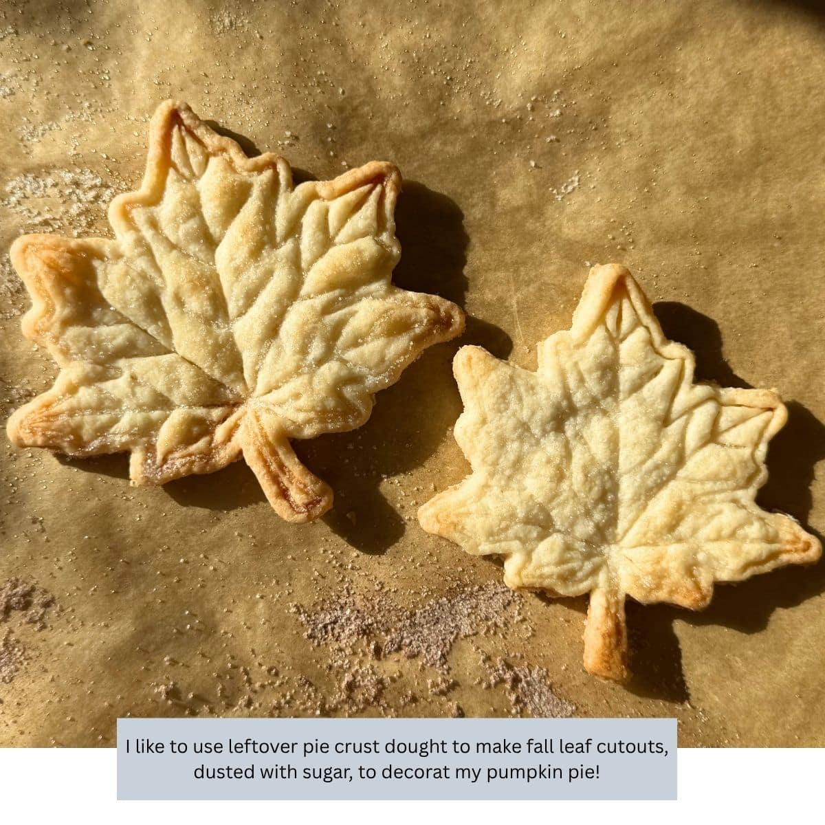 leaf pie crust cookies with text