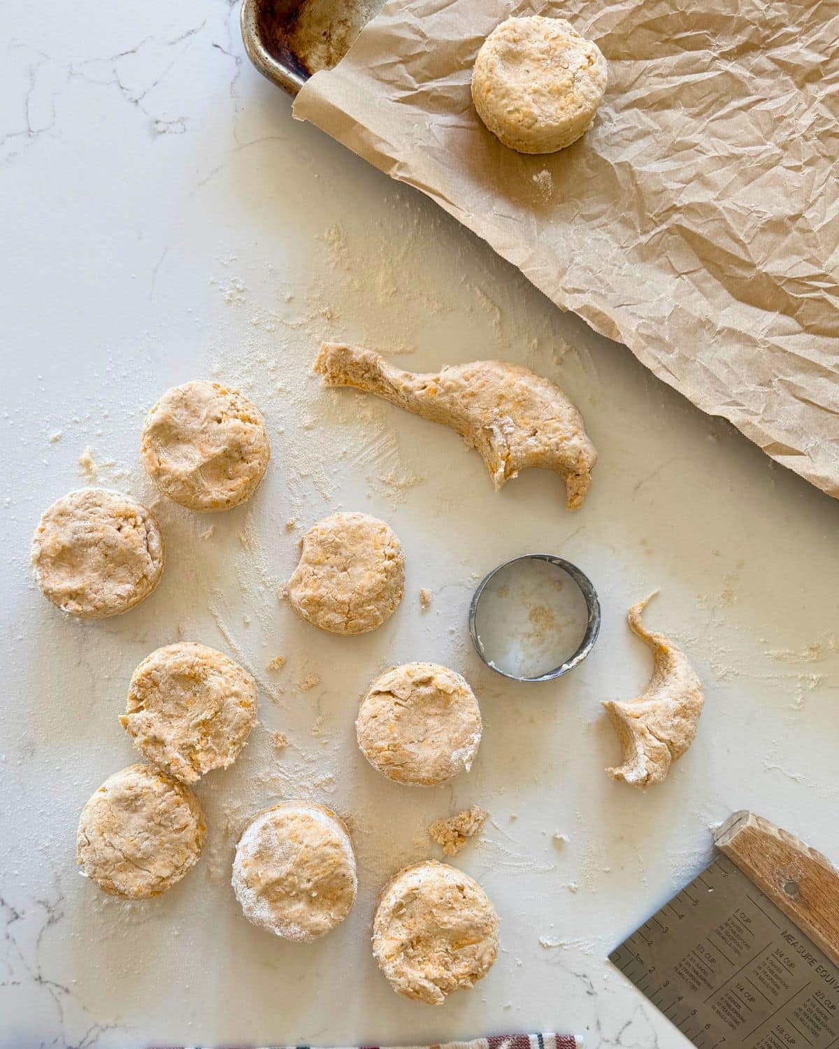 easy cheddar bay biscuits dough cut into round biscuits onthe counter and parchemnt lined baking sheet with biscuit cutter nad bench scraper